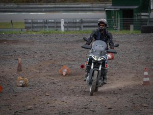 Photo 264