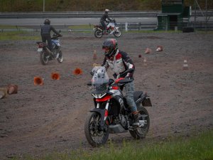 Photo 261