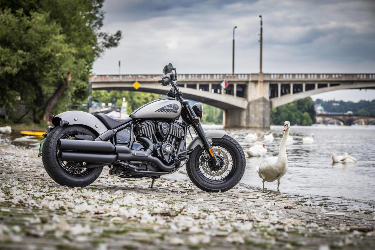 Chief Bobber Dark Horse