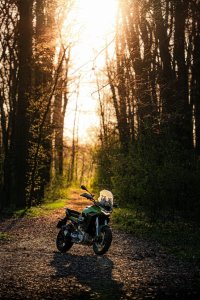 Photo 15