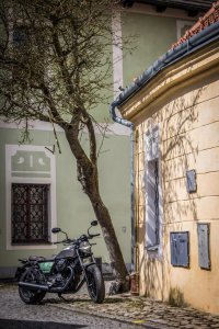 Photo 22