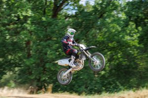 Photo 81