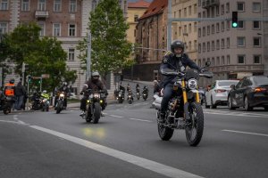 Photo 41